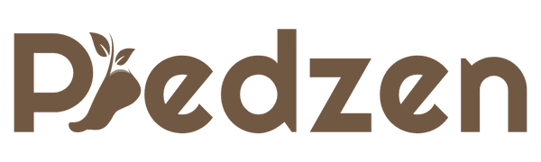 Piedzen
